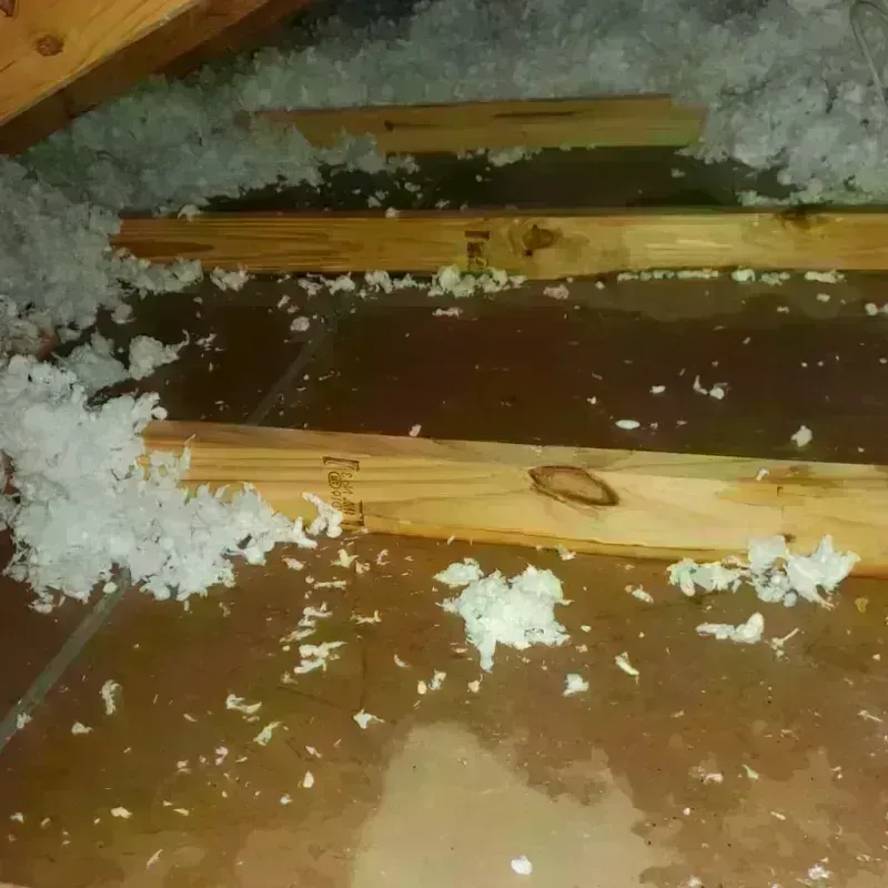 Attic Water Damage in Honey Brook, PA